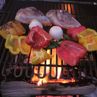 Arrange the food ove flame or coals.