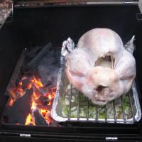 The thanksgiving turkey